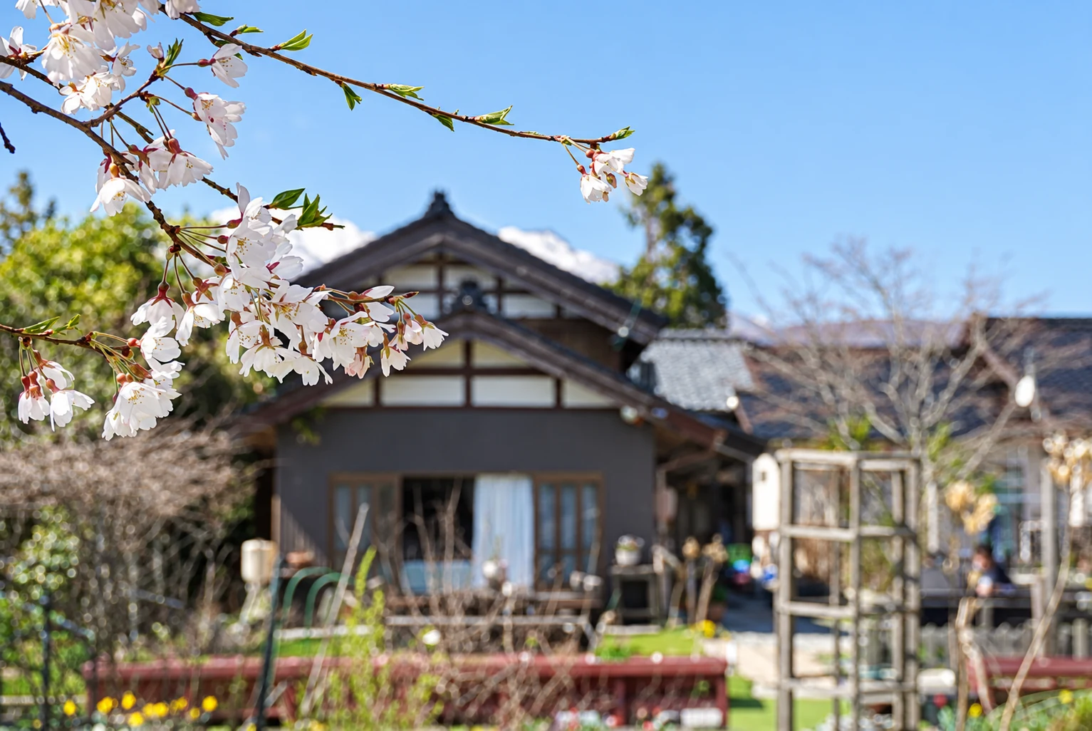 道楽亭