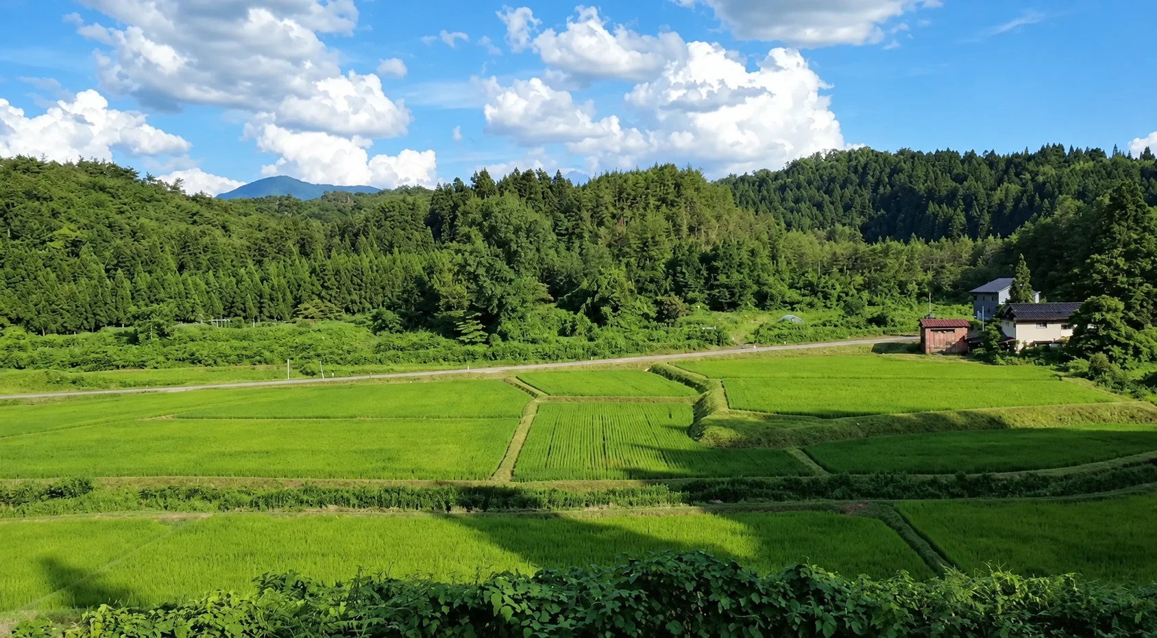 Forest Park Villas NAKANO 四季の自然と田園