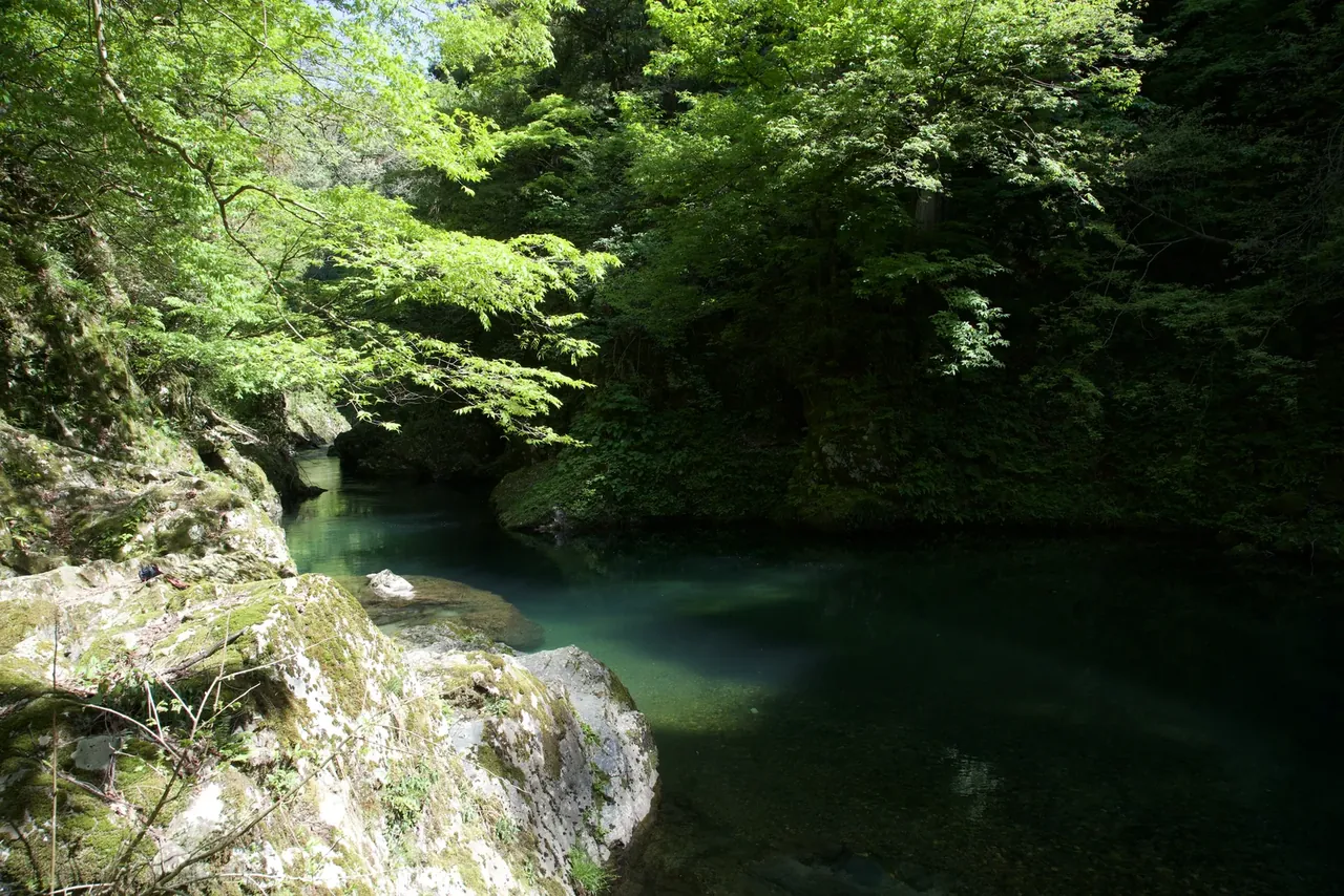 Villa みのり 里山のエメラルドの渓流