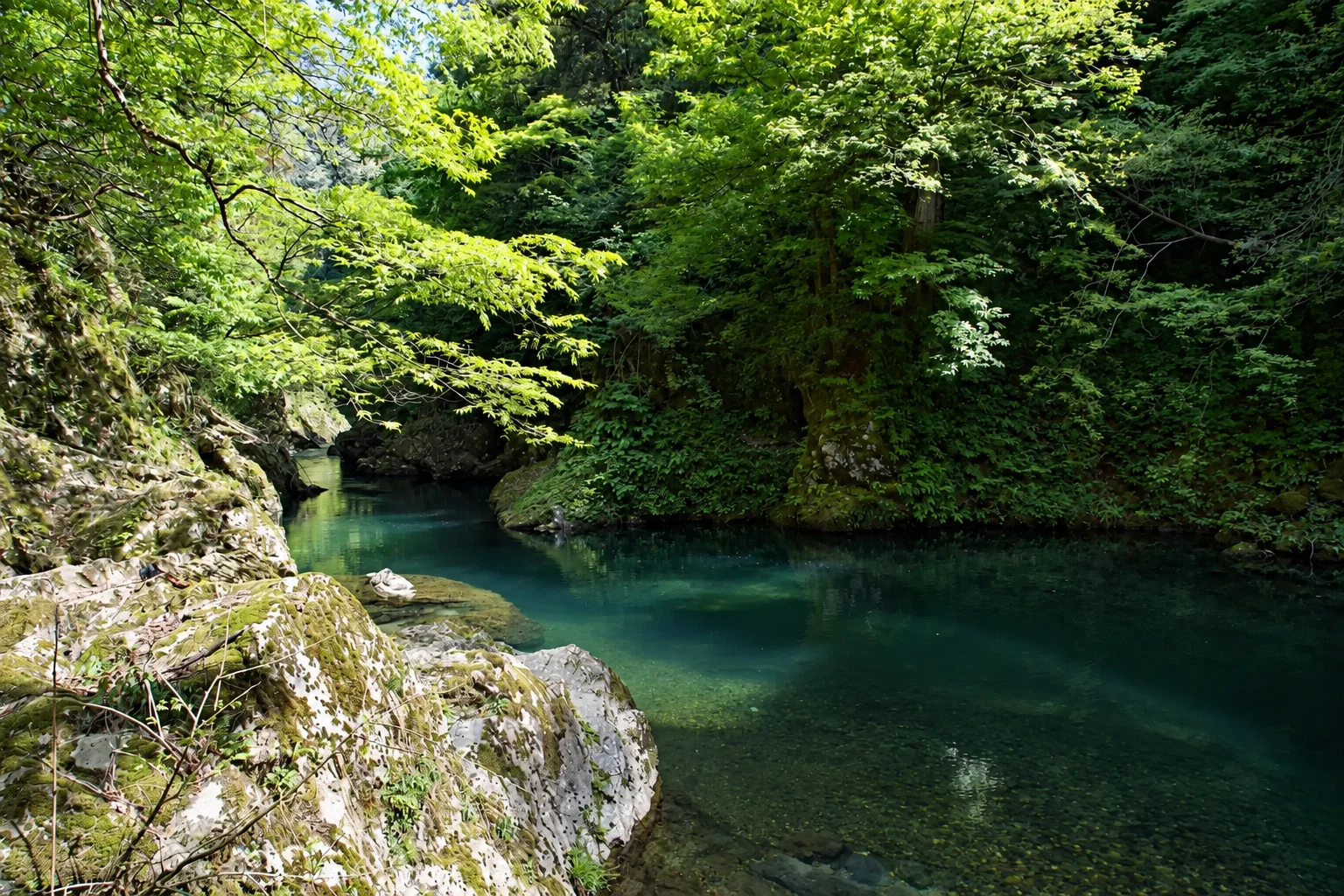 Villa みのり